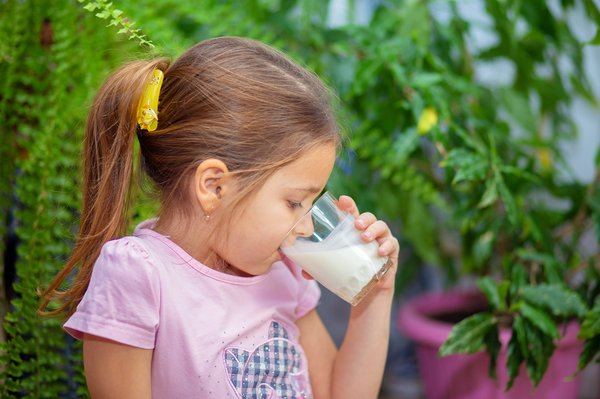 Quels sont les avantages des régimes à base de kéfir pour la digestion et la minceur?